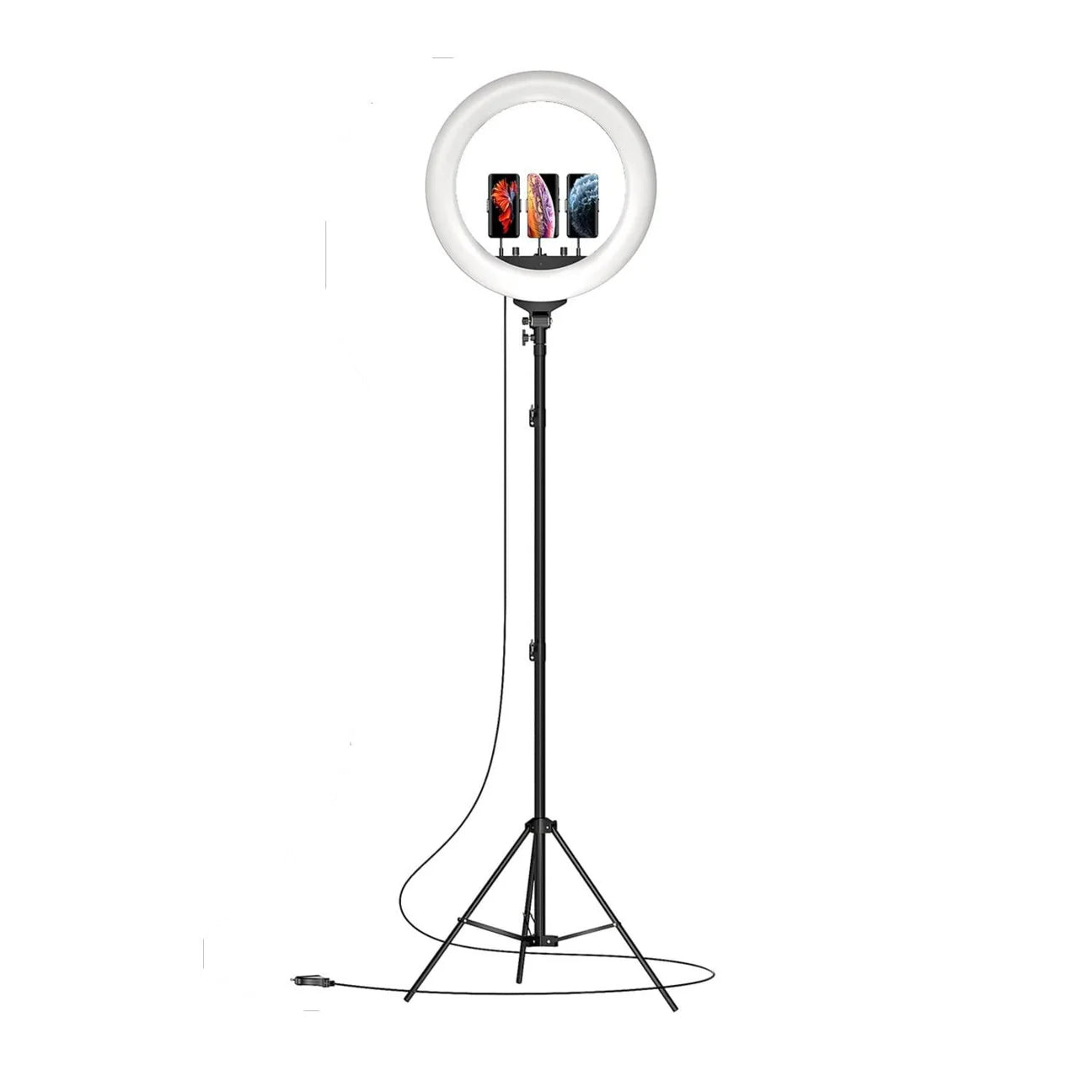 Perfect for photo shoots and captivating reels